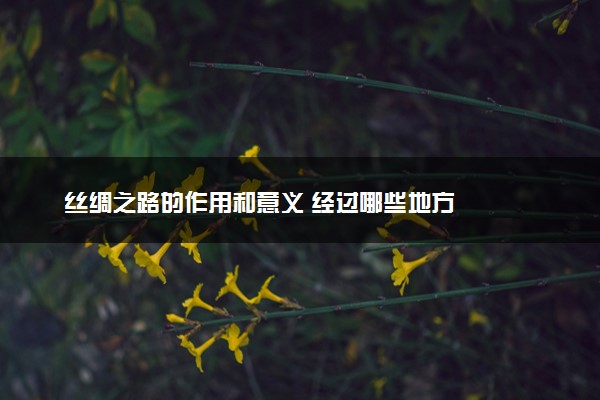 丝绸之路的作用和意义 经过哪些地方
