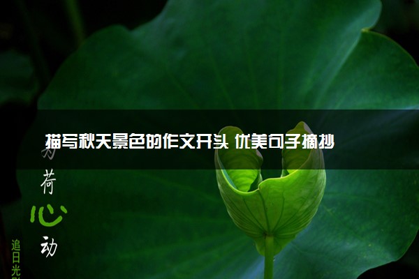 描写秋天景色的作文开头 优美句子摘抄