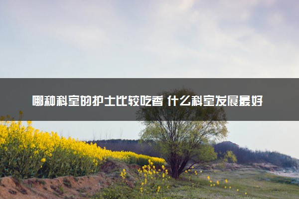 哪种科室的护士比较吃香 什么科室发展最好