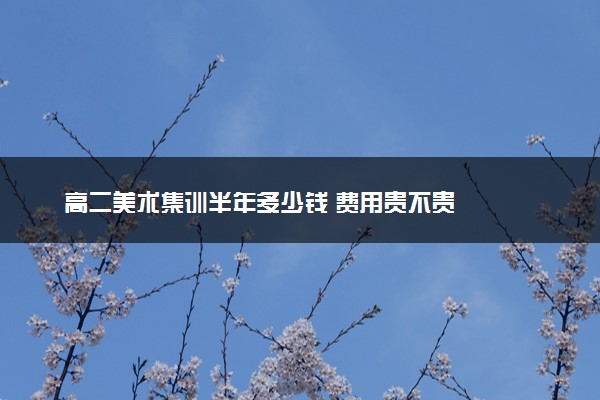 高二美术集训半年多少钱 费用贵不贵