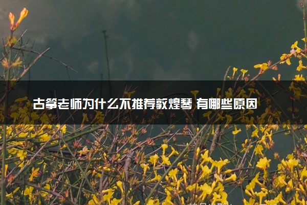 古筝老师为什么不推荐敦煌琴 有哪些原因