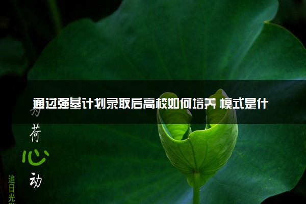 通过强基计划录取后高校如何培养 模式是什么