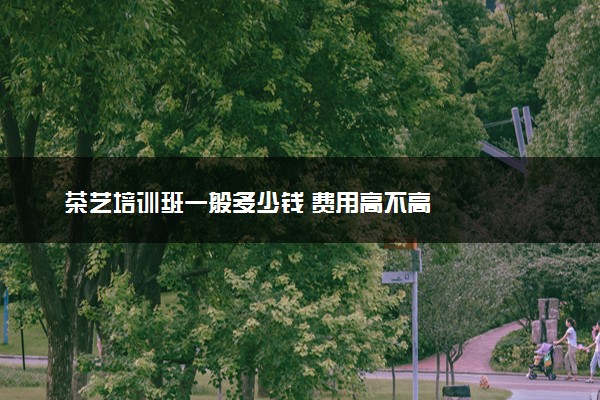 茶艺培训班一般多少钱 费用高不高