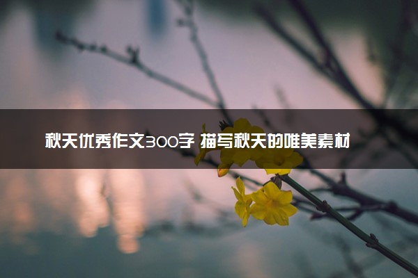 秋天优秀作文300字 描写秋天的唯美素材
