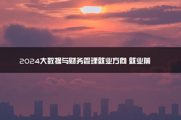 2024大数据与财务管理就业方向 就业前景怎么样