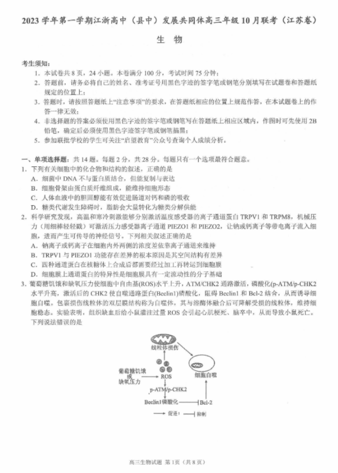 江浙高中发展共同体2024高三10月联考生物试题及答案(江苏卷)