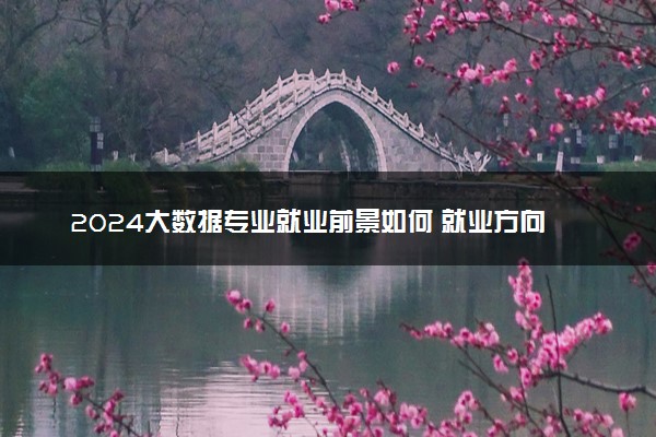 2024大数据专业就业前景如何 就业方向有哪些
