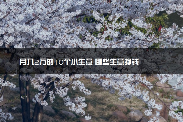 月入2万的10个小生意 哪些生意挣钱