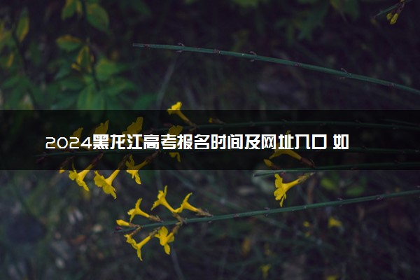 2024黑龙江高考报名时间及网址入口 如何报名