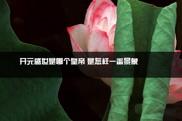 开元盛世是哪个皇帝 是怎样一番景象