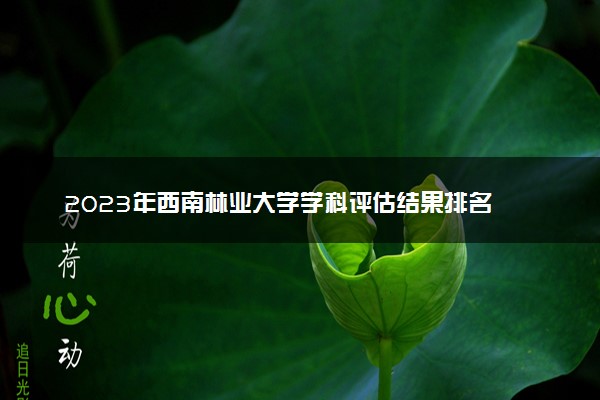 2023年西南林业大学学科评估结果排名 最新重点学科名单