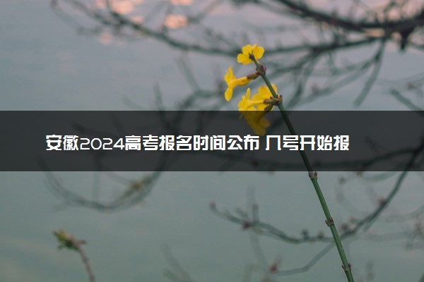 安徽2024高考报名时间公布 几号开始报名