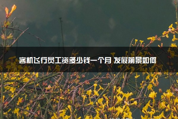 客机飞行员工资多少钱一个月 发展前景如何