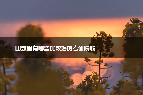 山东省有哪些比较好的考研院校