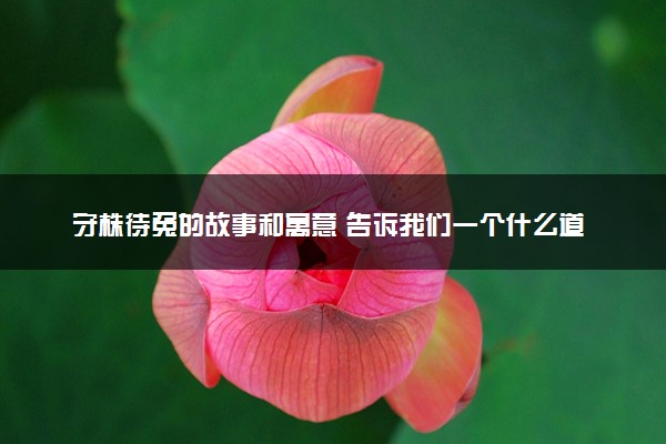 守株待兔的故事和寓意 告诉我们一个什么道理