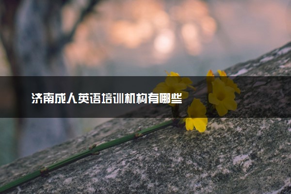 济南成人英语培训机构有哪些