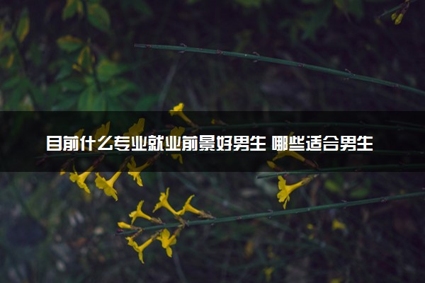 目前什么专业就业前景好男生 哪些适合男生学