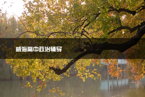 威海高中政治辅导