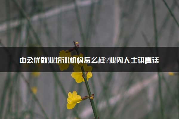 中公优就业培训机构怎么样？业内人士讲真话