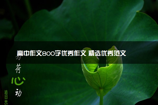 高中作文800字优秀作文 精选优秀范文