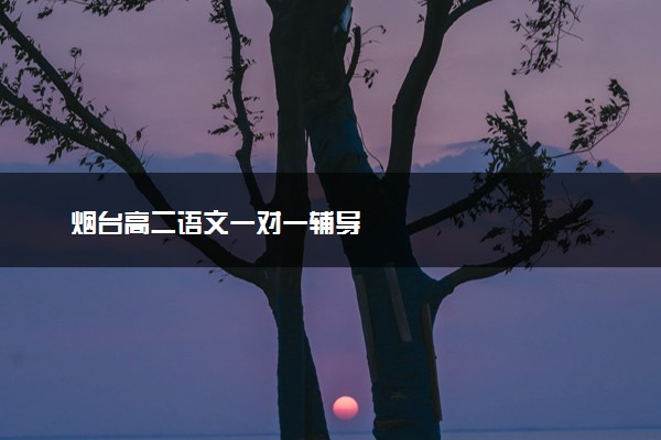 烟台高二语文一对一辅导