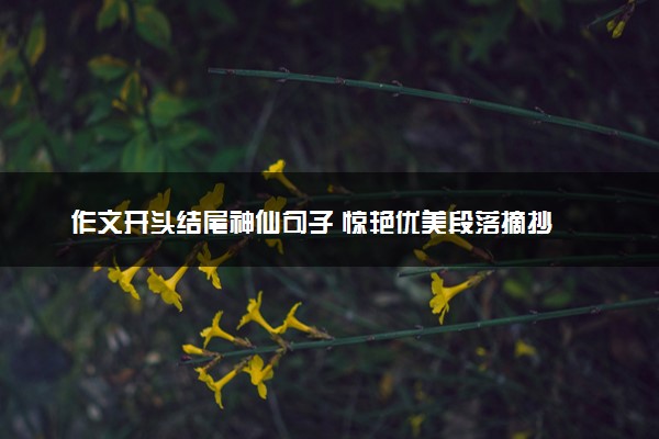 作文开头结尾神仙句子 惊艳优美段落摘抄