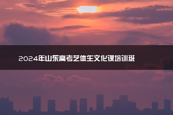 2024年山东高考艺体生文化课培训班