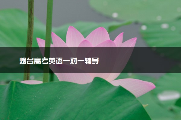 烟台高考英语一对一辅导