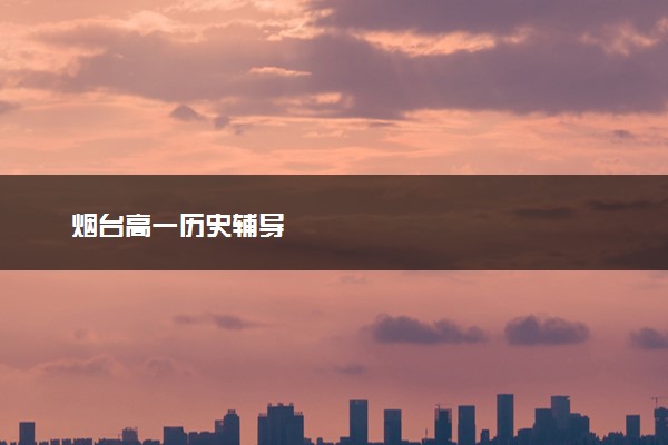 烟台高一历史辅导