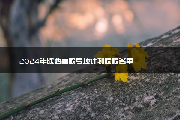 2024年陕西高校专项计划院校名单
