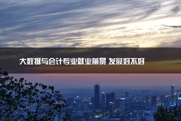大数据与会计专业就业前景 发展好不好