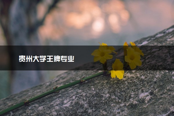 贵州大学王牌专业