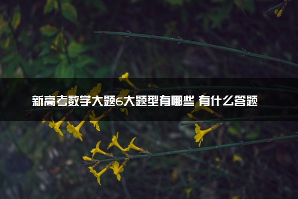 新高考数学大题6大题型有哪些 有什么答题技巧