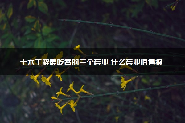 土木工程最吃香的三个专业 什么专业值得报