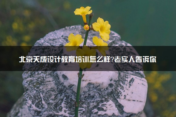 北京天成设计教育培训怎么样？老实人告诉你