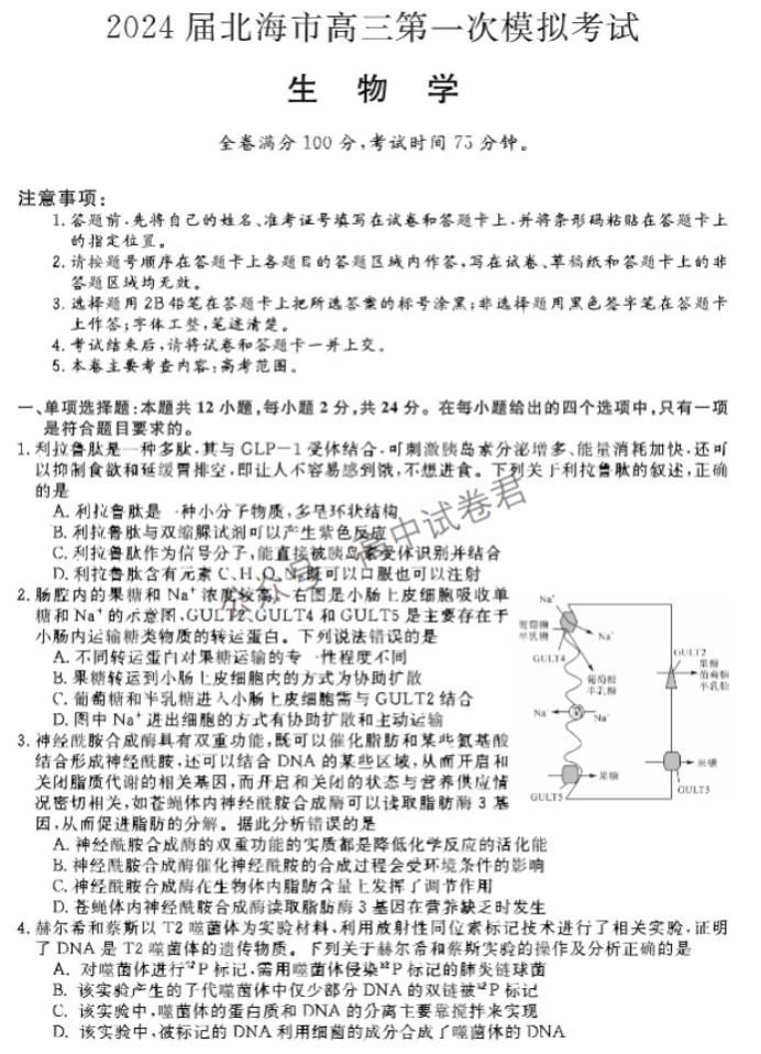 广西北海市2024高三第一次模拟考生物试题及答案解析