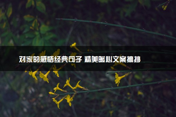 对家的感悟经典句子 精美暖心文案摘抄