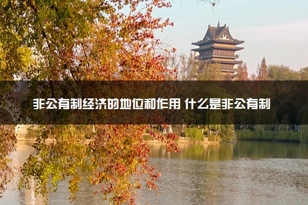 非公有制经济的地位和作用 什么是非公有制经济
