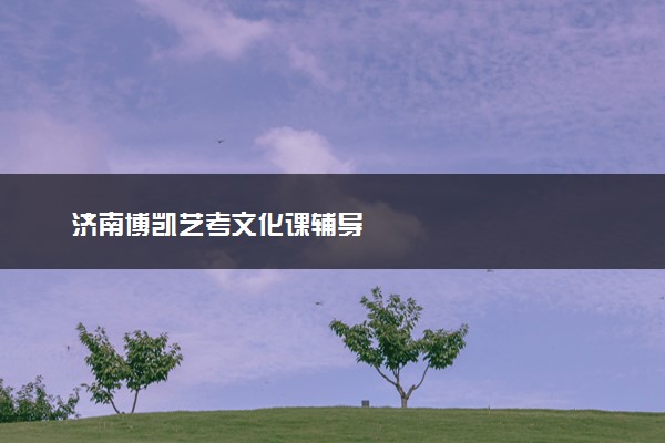 济南博凯艺考文化课辅导