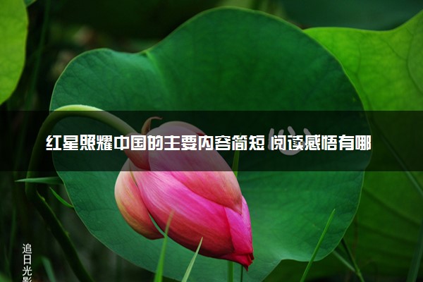 红星照耀中国的主要内容简短 阅读感悟有哪些