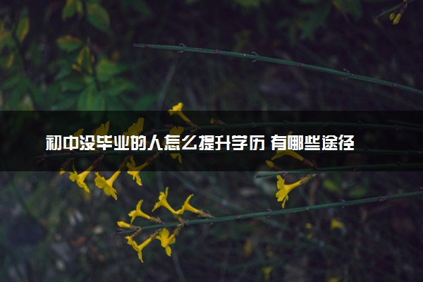 初中没毕业的人怎么提升学历 有哪些途径