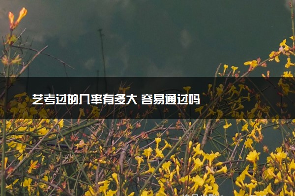 艺考过的几率有多大 容易通过吗