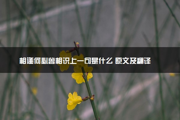 相逢何必曾相识上一句是什么 原文及翻译