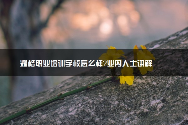 耀格职业培训学校怎么样？业内人士讲解