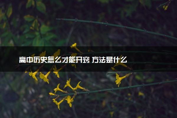 高中历史怎么才能开窍 方法是什么
