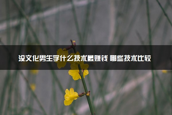 没文化男生学什么技术最赚钱 哪些技术比较吃香