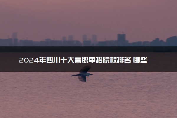 2024年四川十大高职单招院校排名 哪些值得推荐