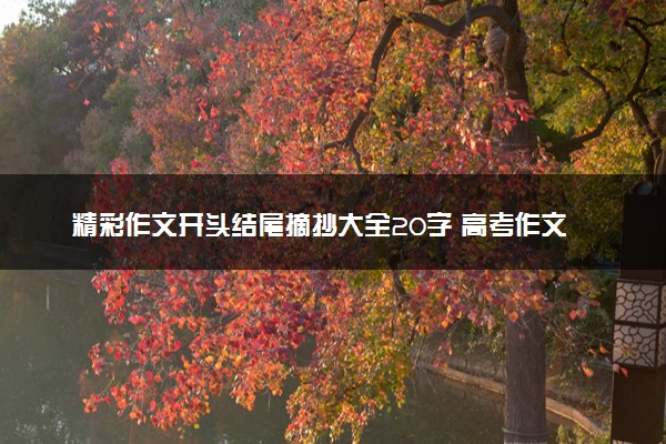 精彩作文开头结尾摘抄大全20字 高考作文优秀句段赏析