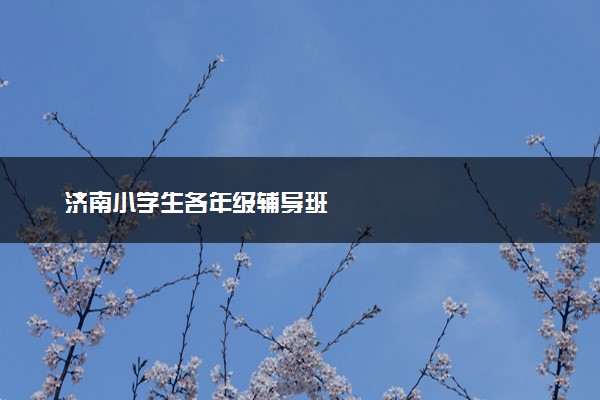 济南小学生各年级辅导班