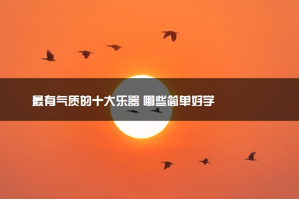 最有气质的十大乐器 哪些简单好学
